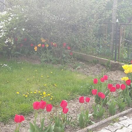 Alom Kucko Apartman Zalaegerszeg Exterior photo