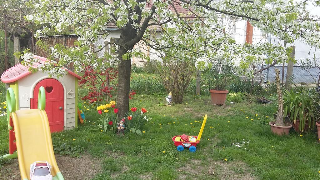Alom Kucko Apartman Zalaegerszeg Exterior photo